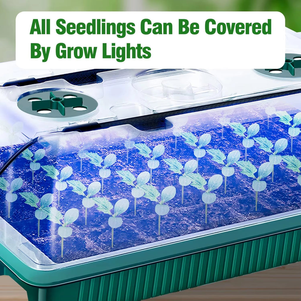 2 Packs, Seed Starter Trays with High Dome Germination Kit - 80 Cells, 4 LED Grow Lights, Smart Timer & 3 Modes for Home Gardene